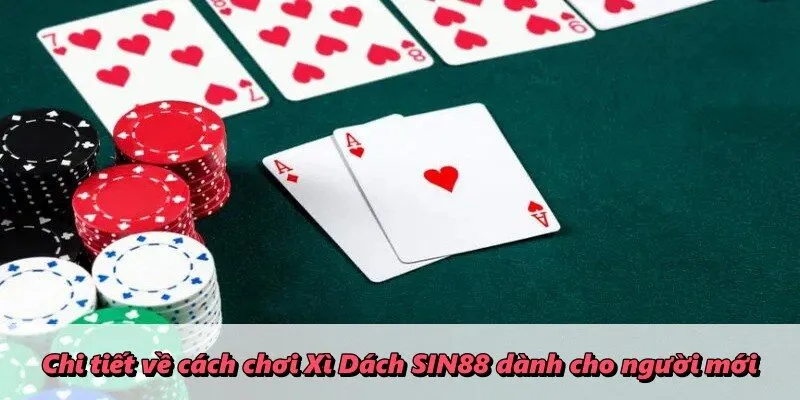 Chi tiết về cách chơi Xì Dách SIN88 dành cho người mới