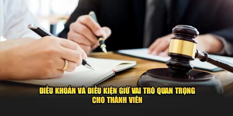 Mục tiêu của điều khoản và điều kiện SIN88