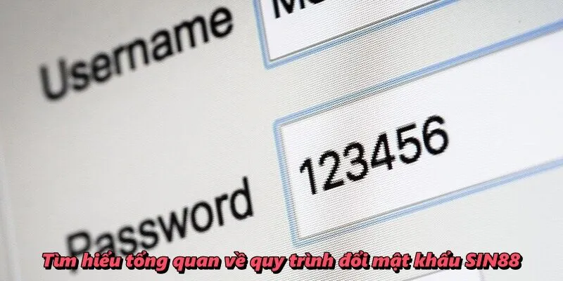 Tìm hiểu tổng quan về quy trình đổi mật khẩu SIN88